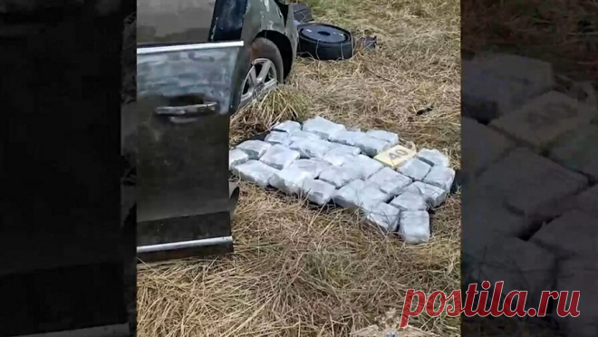 Российские полицейские изъяли около 50 кг наркотиков при досмотре автомобиля. В Чувашской республике правоохранители поймали курьера с крупной партией наркотиков, которую он вез на авто. Об этом сообщает "МВД Медиа". Мужчину помогли задержать сотрудники Госавтоинспекции. Полицейские остановили машину, ...