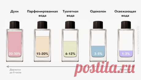 Вот чем отличаются духи, парфюмированная и туалетная вода! Вот в чём разница между одеколоном, духами туалетной и парфюмерной водой! А я и не знала. Оказывается, все дело в процентном содержании…