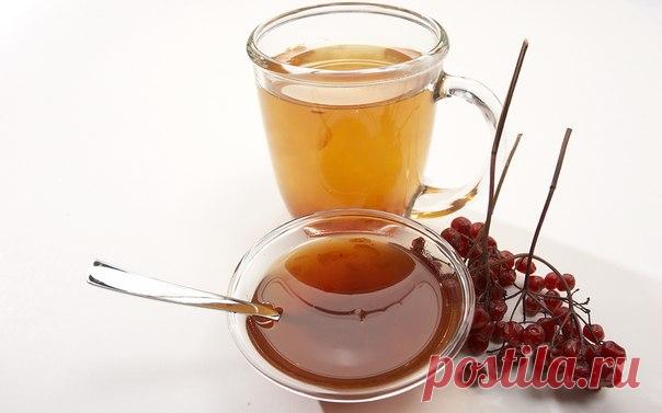 БАЛЬЗАМЫ, ЧАЙ И МИКСТУРА ОТ КАШЛЯ. 
1. Бальзам от кашля. 500 г толченых ядер грецких орехов, 300 г меда, 100 г сока алоэ смешать, добавить сок из 4 лимонов. Хорошо перемешать и принимать детям по 1 ч. л., а взрослым по 1 ст. л. 3 раза …