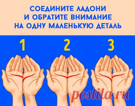 (17) Одноклассники