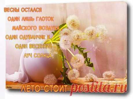 Открытка - Весны остался один лишь глоток...