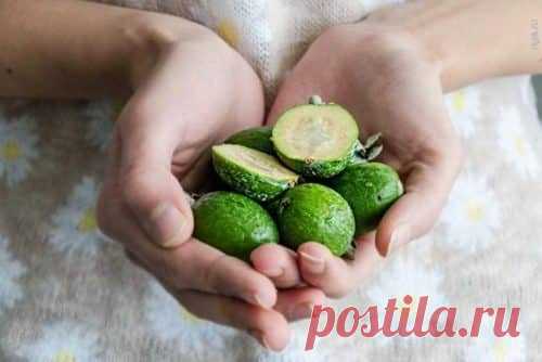 Фейхоа с медом: чем полезна, рецепт, правила приема