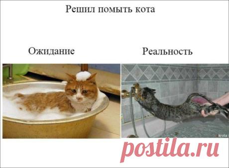 Новости