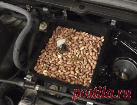 Неожиданная причина неполадок в автомобиле | ЗаБаранкой