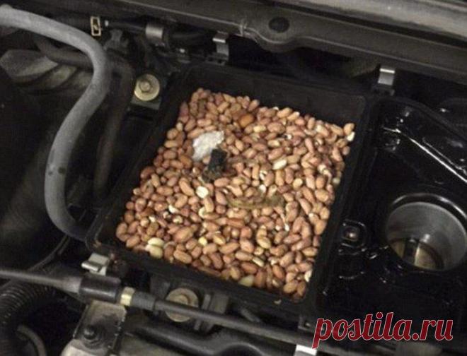 Неожиданная причина неполадок в автомобиле | ЗаБаранкой