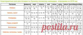 Лунный посевной календарь садовых работ на 2019 год

При проведении посевных работ на дачных участках, садоводы и огородники ориентируются на научные методы и собственный опыт. Но многие, при совершении каких-либо действий (посадка, подкормка), сверяются с лунным календарем. В таблице представлены даты, благоприятные для посевной работы на дачном участке. Для кого-то такая подсказка может оказаться очень полезной, особенно при планировании посевных работ. Лунный посевной к...