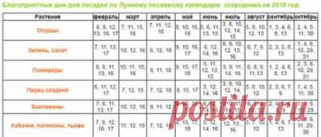 Лунный посевной календарь садовых работ на 2019 год

При проведении посевных работ на дачных участках, садоводы и огородники ориентируются на научные методы и собственный опыт. Но многие, при совершении каких-либо действий (посадка, подкормка), сверяются с лунным календарем. В таблице представлены даты, благоприятные для посевной работы на дачном участке. Для кого-то такая подсказка может оказаться очень полезной, особенно при планировании посевных работ. Лунный посевной к...