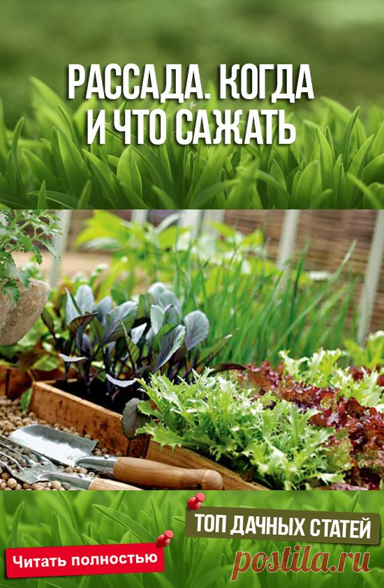(2242) Pinterest