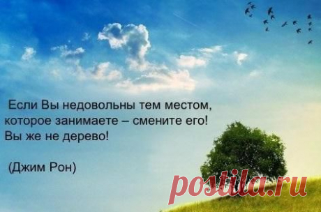 Очень правильные слова