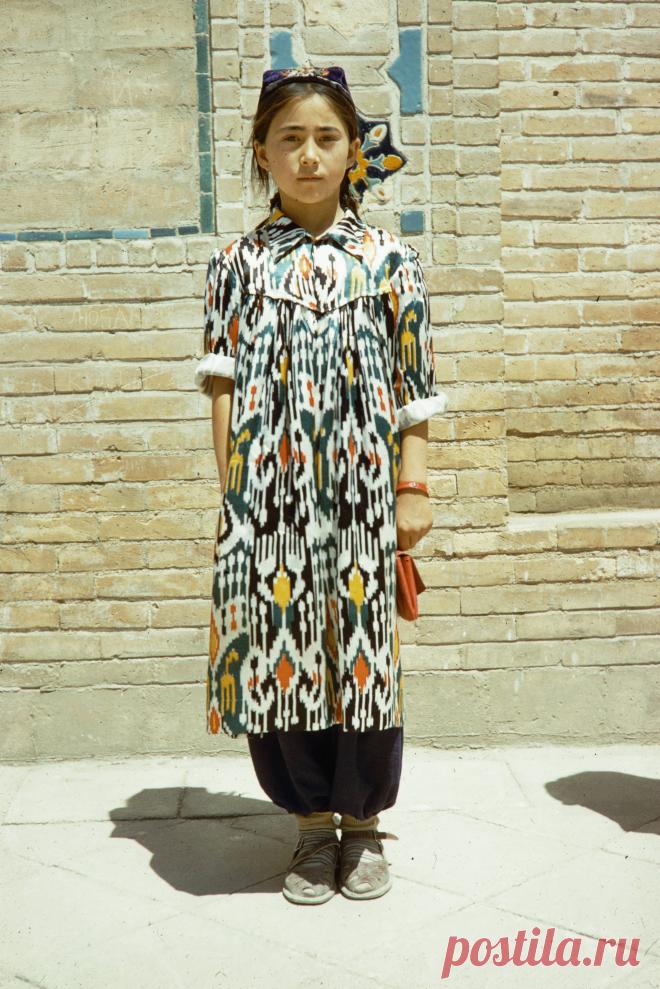 1959. Харрисон Форман в Самарканде. Часть 1: humus — ЖЖ