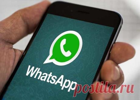 Почему не стоит устанавливать WhatsApp Plus? | Интересно знать | Яндекс Дзен