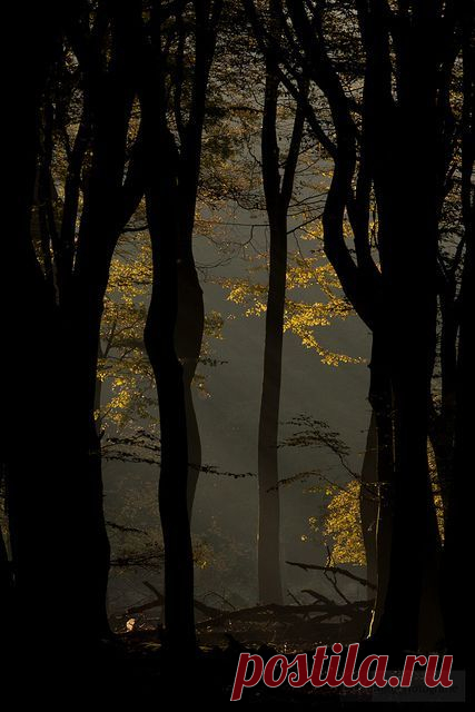 Найдено на сайте flickr.com.