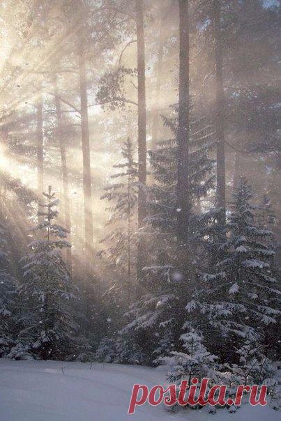 (1) Мой Мир@Mail.Ru