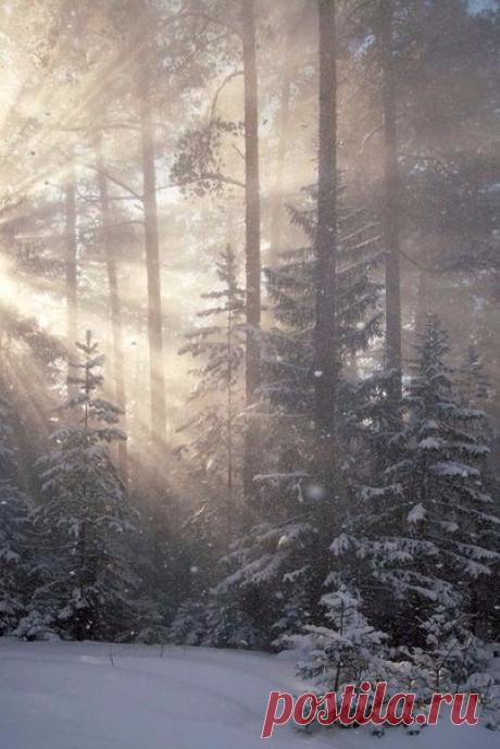 (1) Мой Мир@Mail.Ru