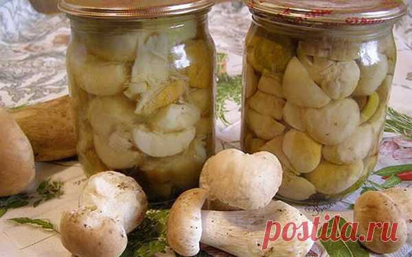 Маринование белых грибов на зиму- на vse-o-ede-online.ru Маринование белых грибов - это деликатесное блюдо, в котором свежие белые грибы маринуются в уксусе, масле, ароматных травах и специях.