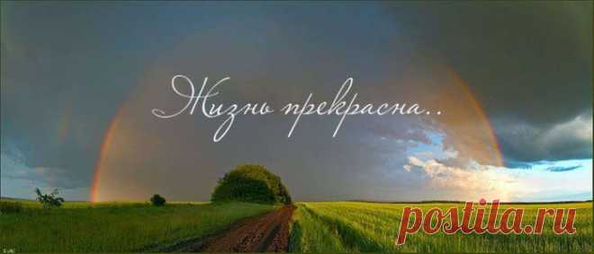Я с каждым днём всё больше жизнь ценю. Стихи..