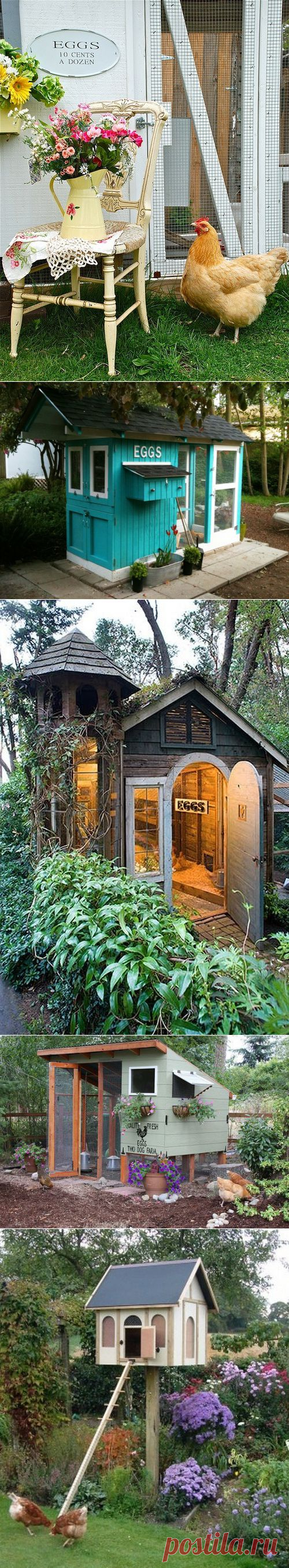 Красивые домики... для кур | Хвастунишка