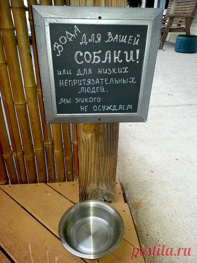 17 гениальных объявлений в кафе, мимо которых не пройти