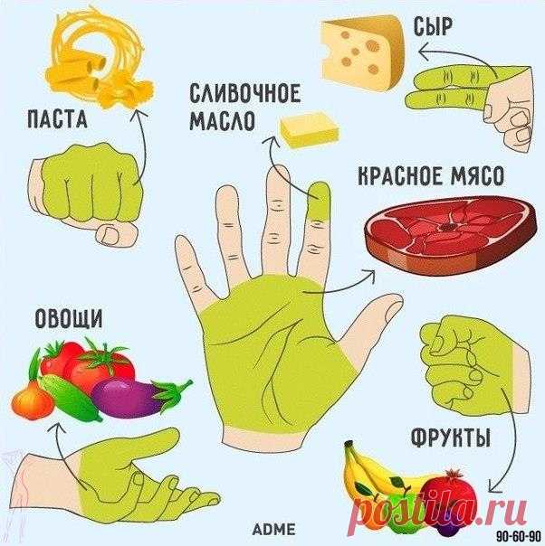 Сколько еды нужно съедать за раз