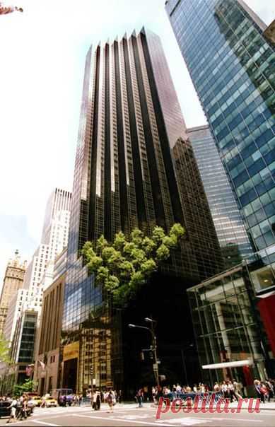 Trump Tower (башня Трампа) - 58-этажный небоскрёб в Нью-Йорке / Основы бизнеса
