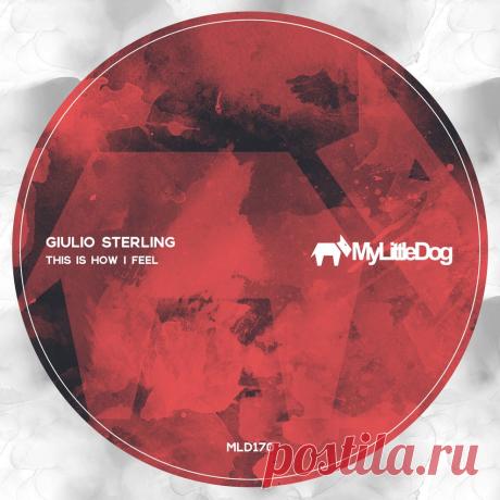 VIP - Giulio Sterling - This Is How I Feel | DJ | SoundMasters | Service