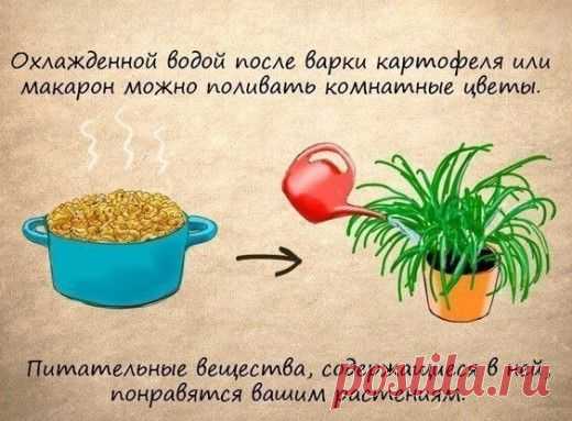 14 домашних хитростей. Такое знает не каждая хозяйка