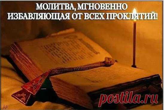 (7) Одноклассники