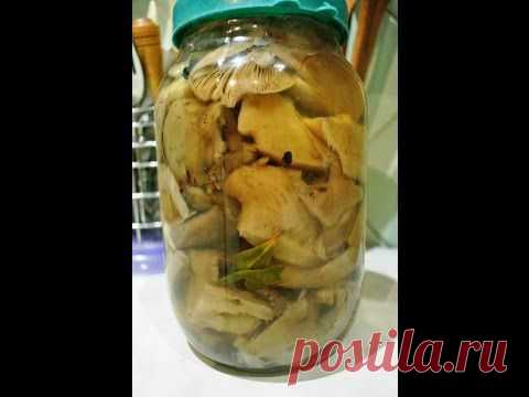 Маринованные вешенки - кулинарный рецепт