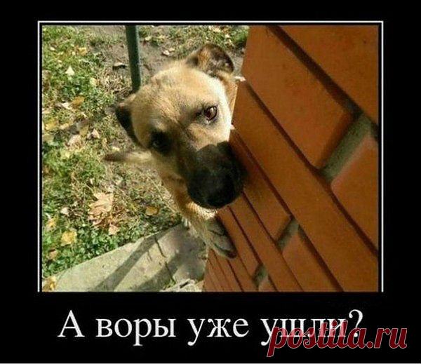 воришки где ? можно выходить ????