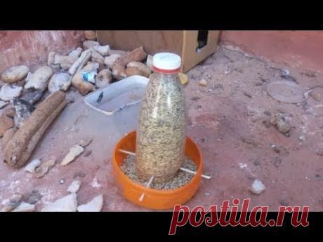 make a bird feeder صنع ماكلة للطيور