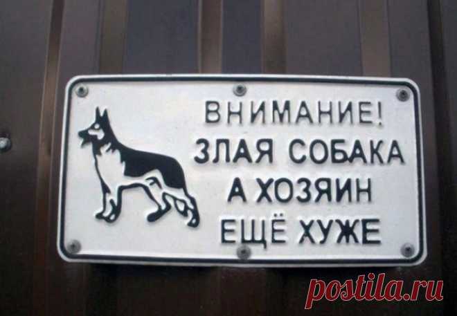 Таблички с юмором в стиле 