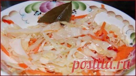 10 самых лучших рецептов квашеной капусты | Рецепты "Вкуснятинки"