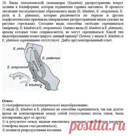 jxJYMEhRLa0.jpg (604×633)