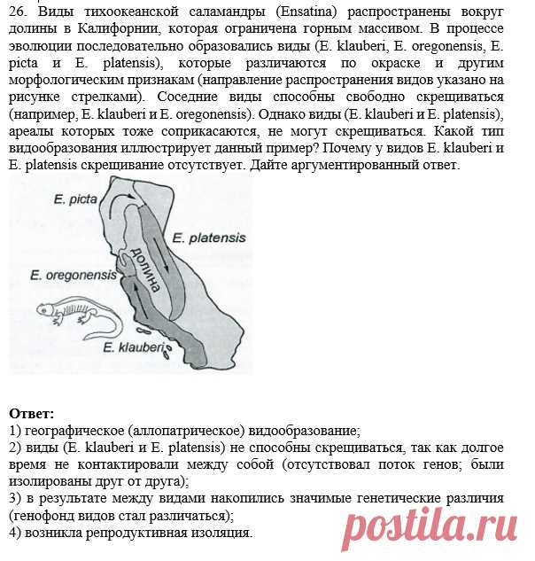 jxJYMEhRLa0.jpg (604×633)