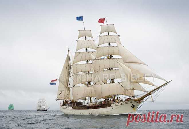 Альбом 19 «Галерея 19« Tall Ship расы