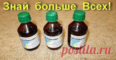 Меновазин: стоит копейки, а лечит 13 болезней! Почему я не знала этого раньше?! Пузырёк меновазина обойдётся вам дешевле 24 рубля ($0,38), но это средство помогает от множества недугов. В частности: 1. Ангина. При ангине советуют...