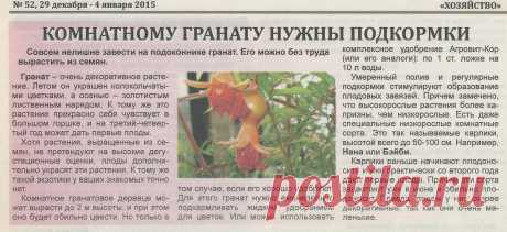 Комнатному гранату нужны подкормки