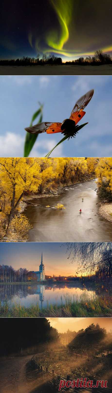 National Geographic Россия: National Geographic Россия | Постила.ru