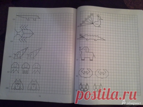 wildino29 - Страницы