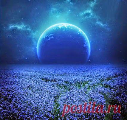 Спокойной ночи пожелаю
Сегодня другу своему.
Пусть сны цветные посещают,
Пусть звезды смотрят на луну,
Глаза закрой, мой друг любимый,
И сны прекрасные смотри.
А завтра бодрым и счастливым
Проснешься ранним утром ты!﻿