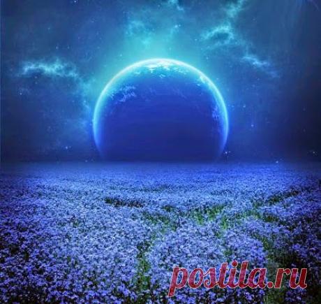 Спокойной ночи пожелаю
Сегодня другу своему.
Пусть сны цветные посещают,
Пусть звезды смотрят на луну,
Глаза закрой, мой друг любимый,
И сны прекрасные смотри.
А завтра бодрым и счастливым
Проснешься ранним утром ты!﻿