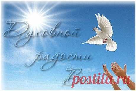 Мой Мир@Mail.Ru