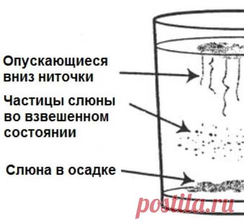 Домашний тест на наличие грибка кандида в организме и способы лечения дисбаланса Экология потребления. Лайфхак: Грибок кандида присутствует в определенном количестве в любом здоровом человеческом организме, проблемы возникают тогда, когда нарушается баланс. Могут появиться такие симптомы, как аллергические реакции, экземы или головные боли...