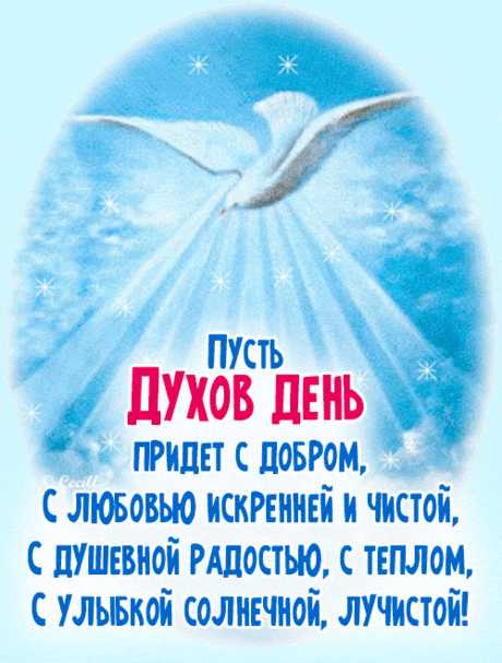 Духов день сегодня славим,
Счастья пожелаю вам,
Пусть летит молитва ваша
Ввысь к блаженным небесам.
