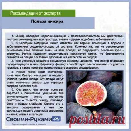 Польза инжира