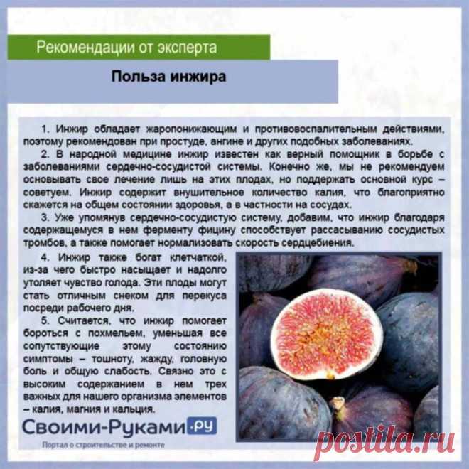 Польза инжира