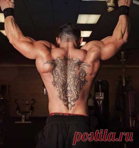 Подтягивания. Виды и особенности.