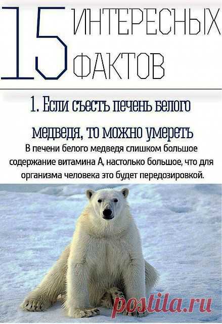15 интересных фактов обо всем