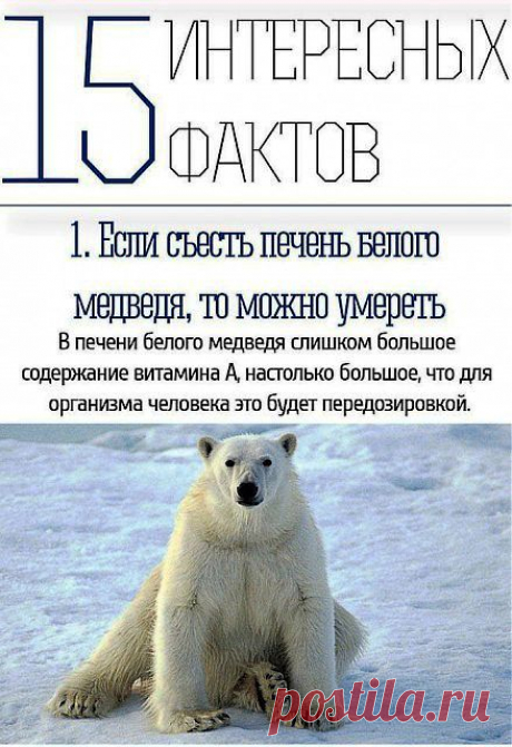 15 интересных фактов обо всем