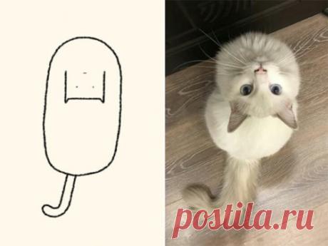 Точные рисунки кошек Кошки бывают разных размеров и формы. Стараясь задокументировать их всех, Instagram-аккаунт @DailyPurrr создаёт «глупые рисунки кошек на ежедневной основе». И эти кошачьи портреты ─ идеальное сочетание простоты и юмора.